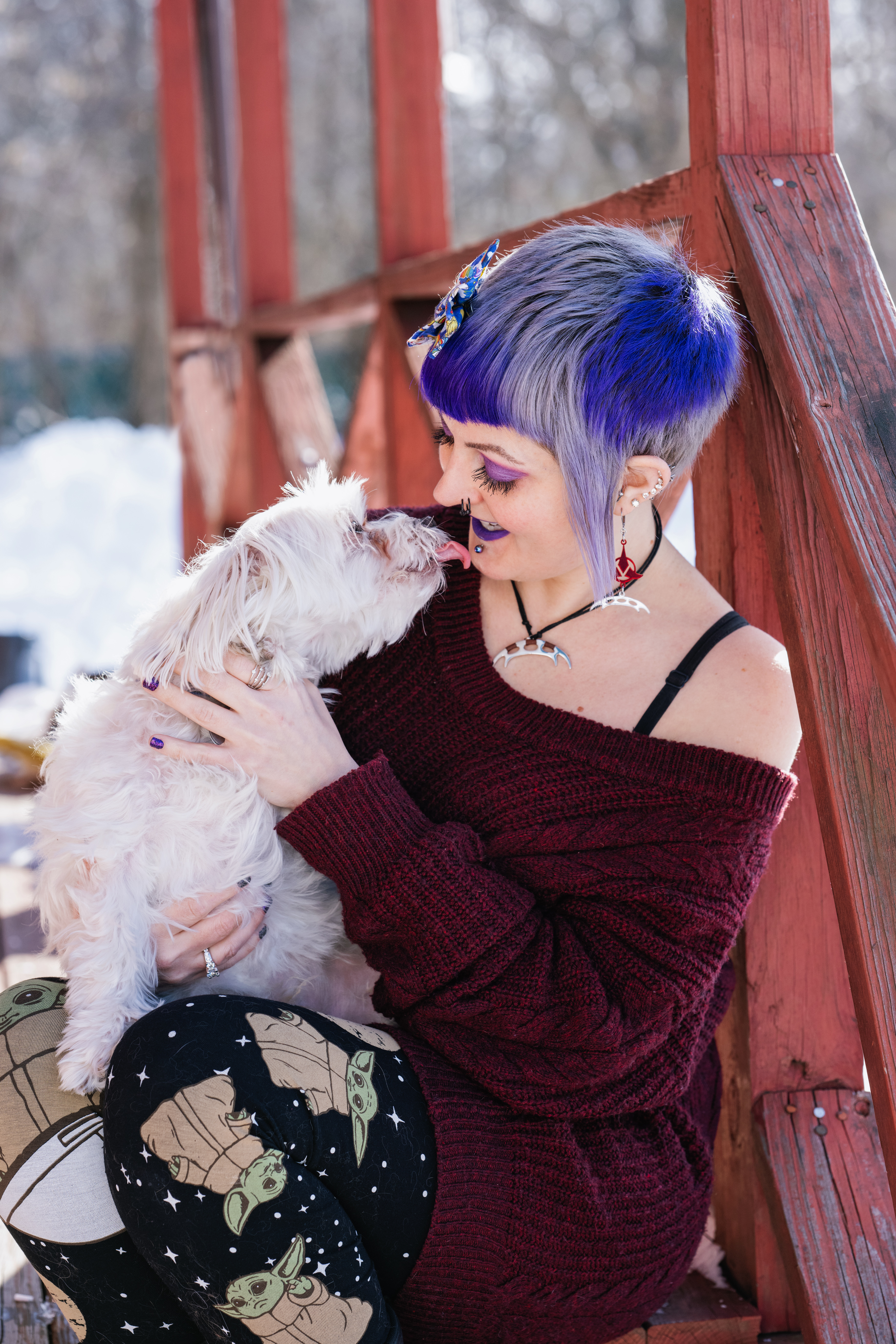 Maltese happy and kissing pet sitter